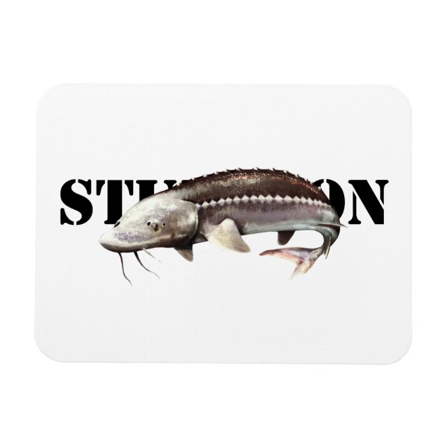 Imán Sturgeon (Horizontal)