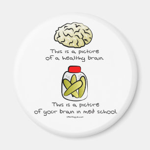 Imán Su cerebro en escuela del MED