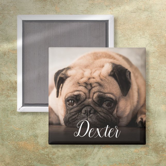 Imán Su foto Mascota favorita (Personalized Dog Cat Pet Photo Script Name Magnet)