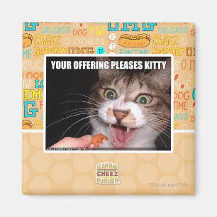 Imán Su ofrecimiento satisface el gatito