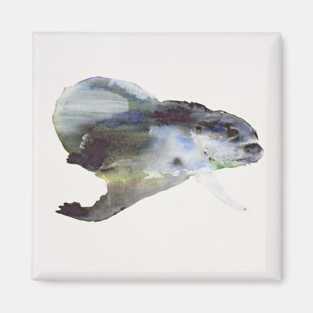 Imán Subacuática (Frente)