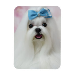 Imán Sube la foto de tu perro, adorable bebé peludo