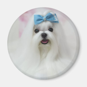 Imán Subir foto de mascota perro adorable lindo