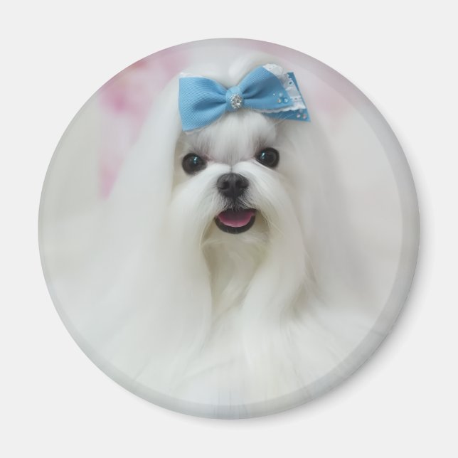 Imán Subir foto de mascota perro adorable lindo (Frente)
