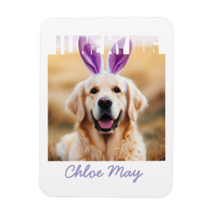 Imán Subir Personalizado Mascota Nombre de foto Me enca