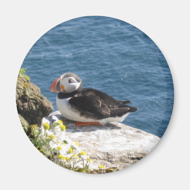 Imán Submarinista de papagayo (Frente)