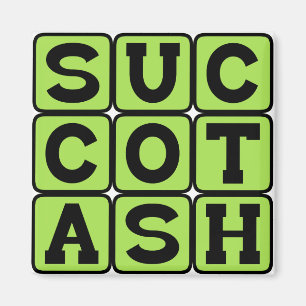 Imán Sucotash, insufrible café y limeño café