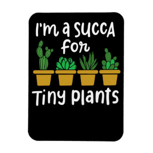 Imán Suculentas pequeñas plantas