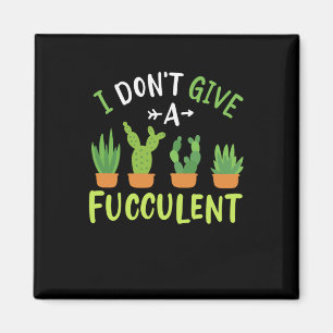 Imán Suculentas plantas