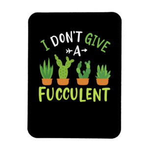 Imán Suculentas plantas