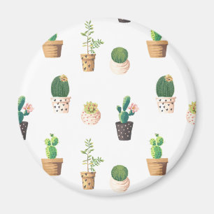 Imán Suculento cactus de postre verde en macetas