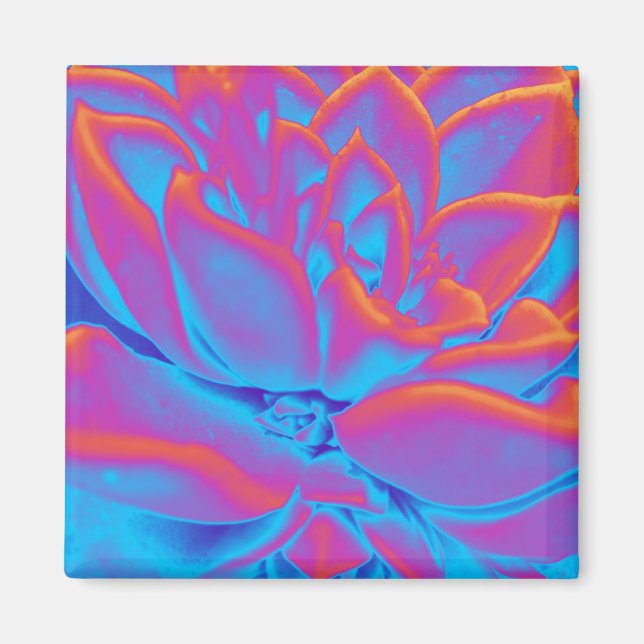 Imán Suculento misterio (Frente)