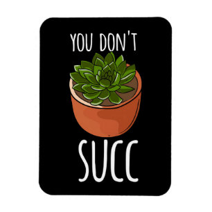 Imán Suculentos