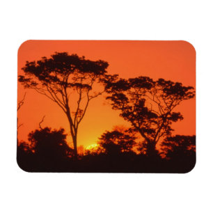 Imán Sudáfrica. Atardecer africano.