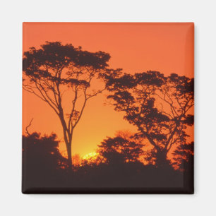 Imán Sudáfrica. Puesta de sol africana.