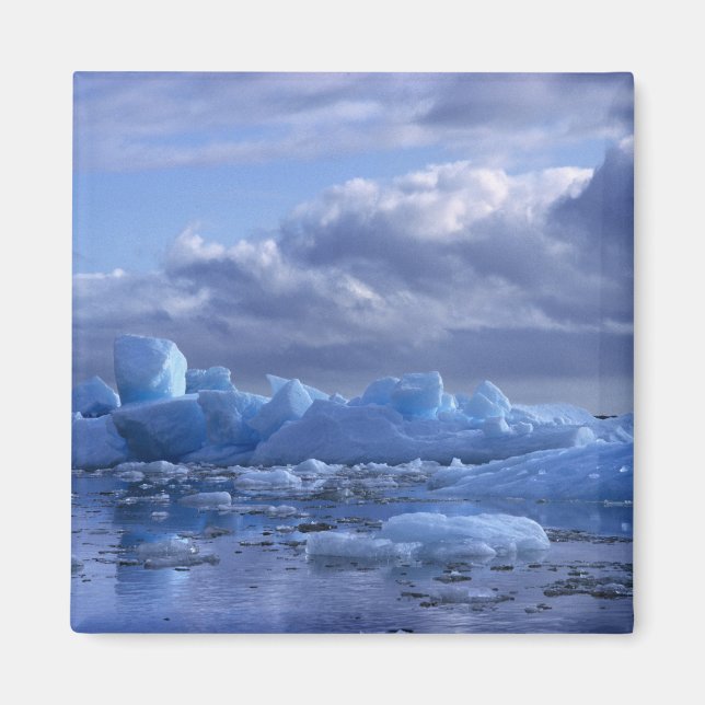 Imán Sudamérica, Chile, Laguna San Rafael NP. (Frente)