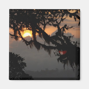 Imán Sudamérica, Ecuador, escenario de bosques nublado