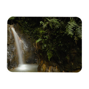 Imán Sudamérica, Ecuador, vertiente oriental de la
