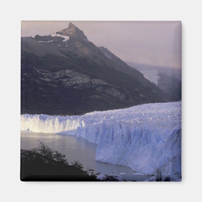 Imán Sudamérica, Patagonia, Argentina Parque (Frente)