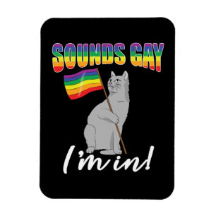 Imán Suena gay, estoy en gato