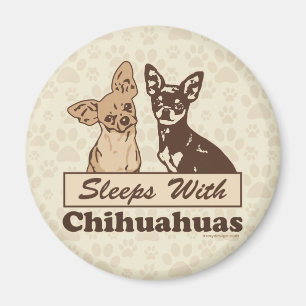 Imán Sueños con las chihuahuas