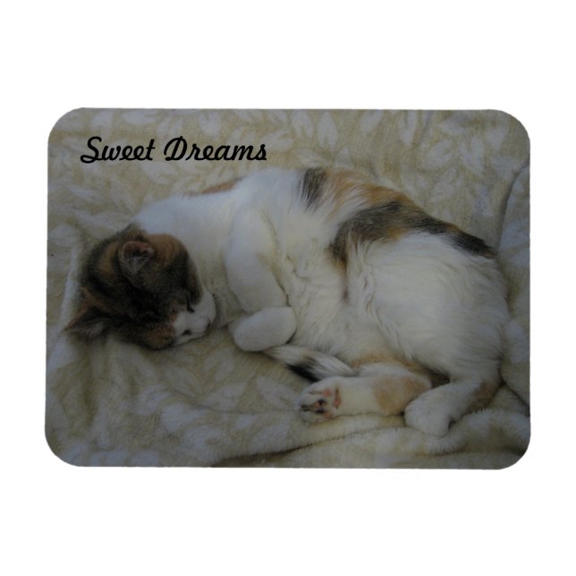 Imán Sueños dulces de gato durmientes (Horizontal)