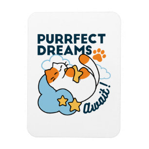 Imán Sueños Perfectos Esperan – Gato Dormido Soñador