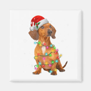 Imán Suéter de Navidad de árbol de perros Dachshund Reg