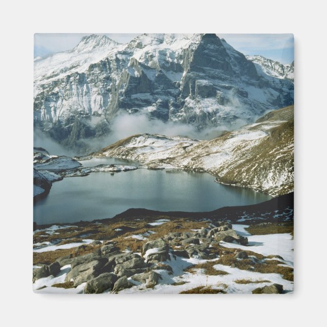 Imán Suiza, Grindelwald, Alpes Berneses, Vista (Frente)