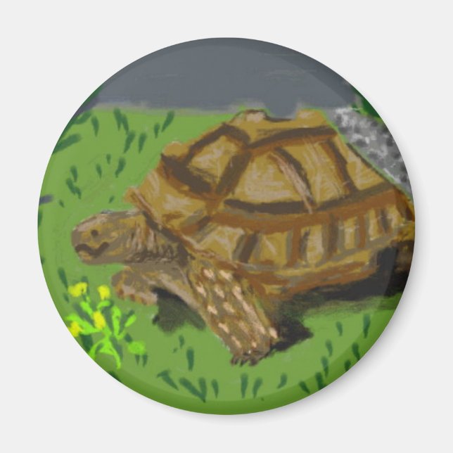 Imán Sulcata Tortoise (Frente)