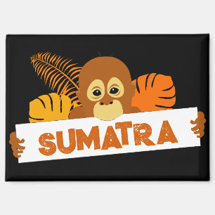 Imán Sumatra Baby Orangutan Magnet