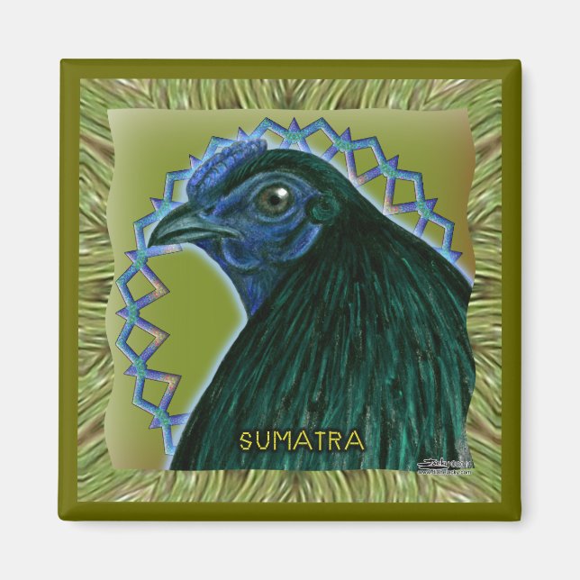 Imán Sumatra Rooster con marco (Frente)