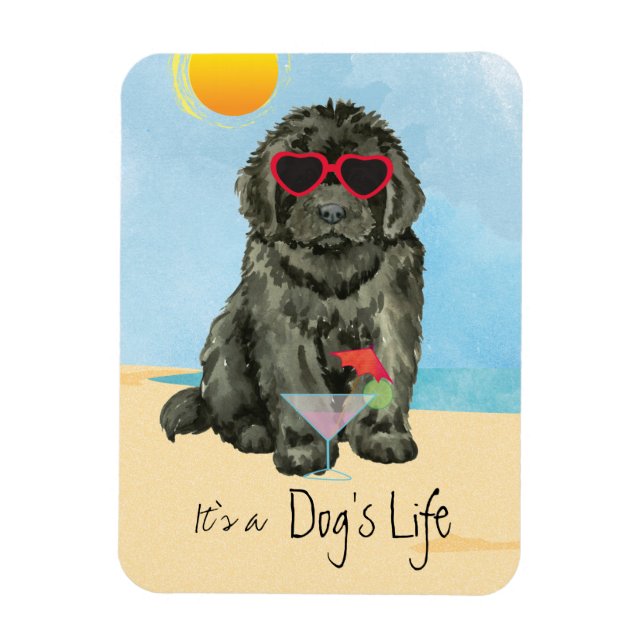 imán Summer Newfoundland (Vertical)