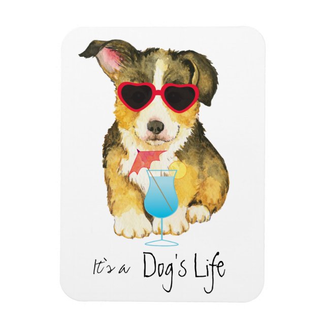 Imán Summer Pembroke Welsh Corgi (Vertical)
