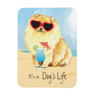 Imán Summer Pomerania