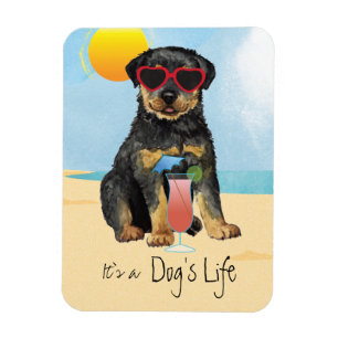 Imán Summer Rottweiler Magnet
