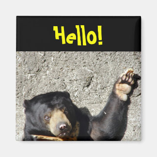 Imán Sun Bear Hello Magnet