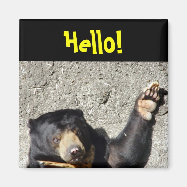 Imán Sun Bear Hello Magnet (Frente)