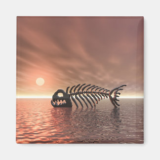 Imán Sun Fish