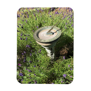 Imán Sundial en Lavender