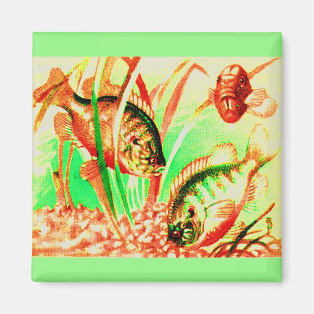 Imán Sunfish (Frente)