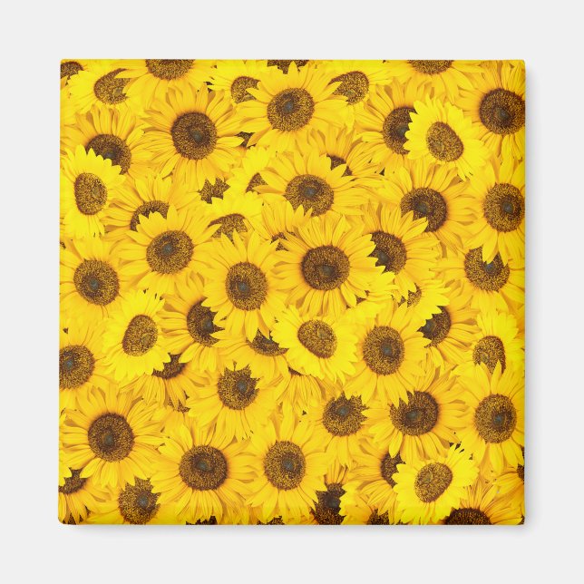 Imán Sunflower (Frente)