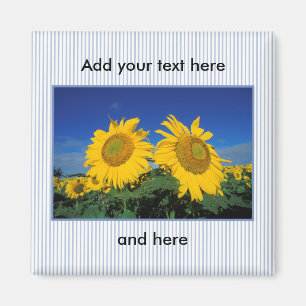 Imán Sunflower