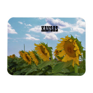 Imán Sunflower Kansas