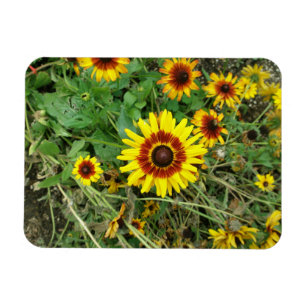 Imán Sunflower magnet