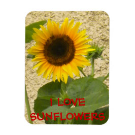 Imán Sunflower N Stucco Fridge Magnet