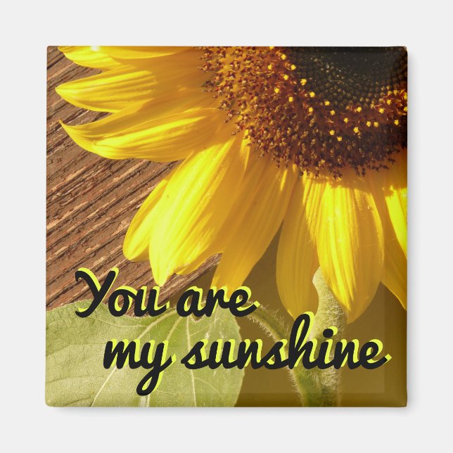 Imán Sunflower Photo You Are My Sunshine Magnet (Frente)