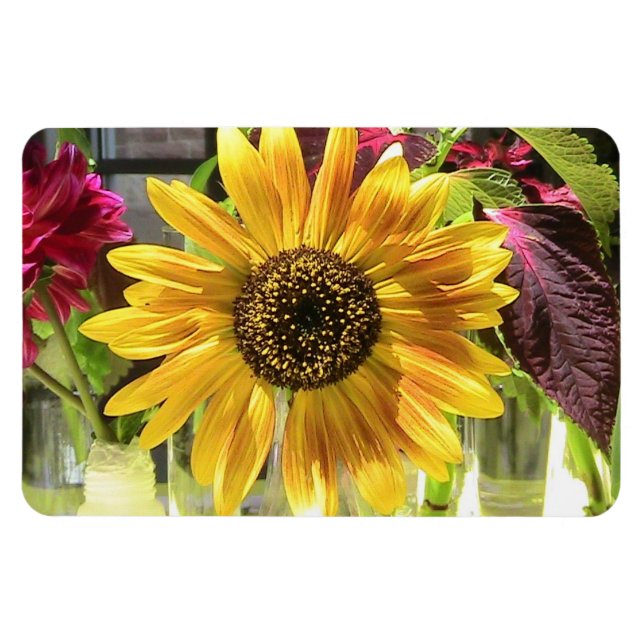 Imán Sunflower Premium Flexi Magnet (Horizontal)