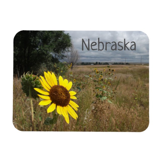 Imán Sunflower, Stormy Sky, Paisaje de Nebraska Occiden (Horizontal)