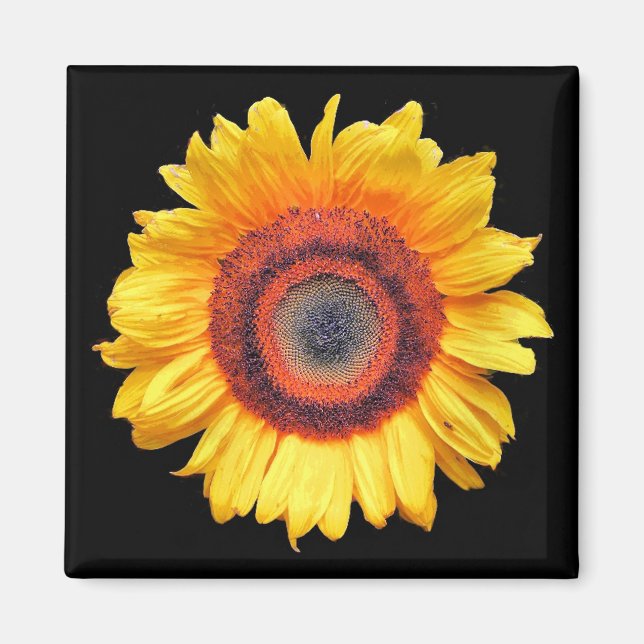 IMÁN SUNFLOWERS (Frente)
